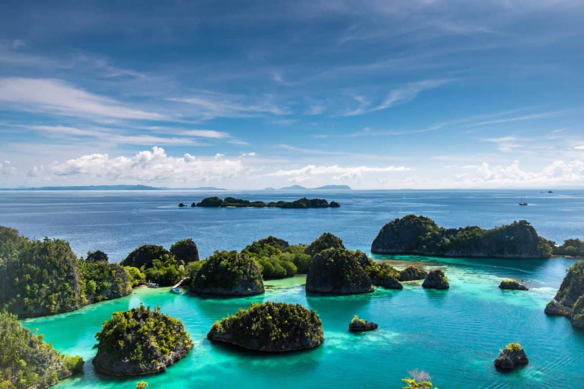 Best Raja Ampat Liveaboard Our Review Dive Guide Katy Jane Dives Katy S Padi Instructor