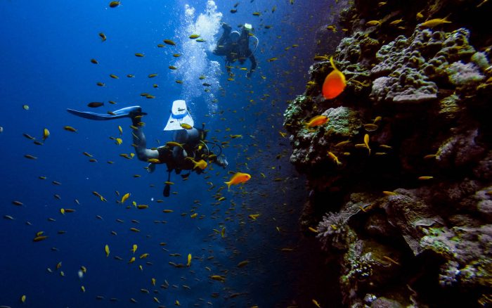 Best Thailand Liveaboard Diving In 2024: My Review Katy Jane Dives Katy ...