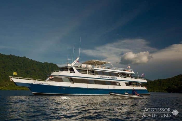 Best Thailand Liveaboard Diving In 2022: My Review - Katy Jane Dives