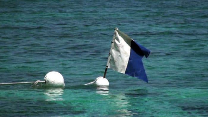 Adreno Dive Flag - Float Blue / White