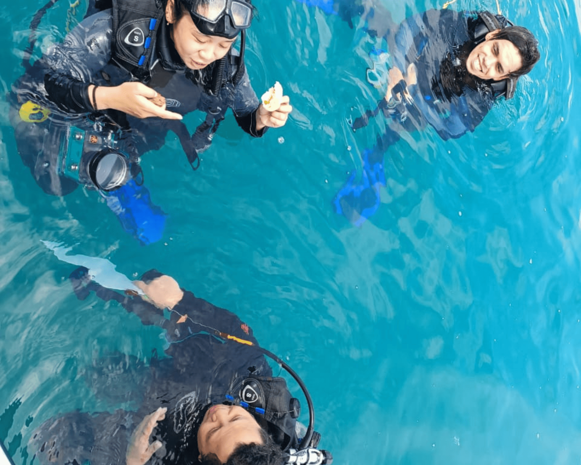 what-to-eat-before-scuba-diving-a-complete-guide-katy-jane-dives