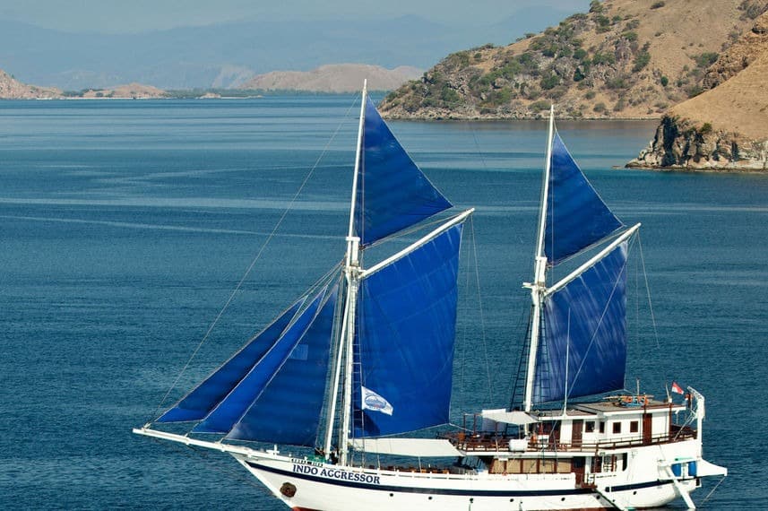 Indo Aggressor Liveaboard