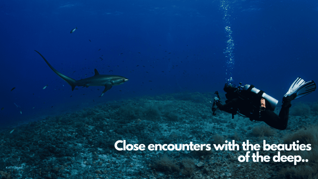 scuba diver in dark blue water with thresher shark over reef