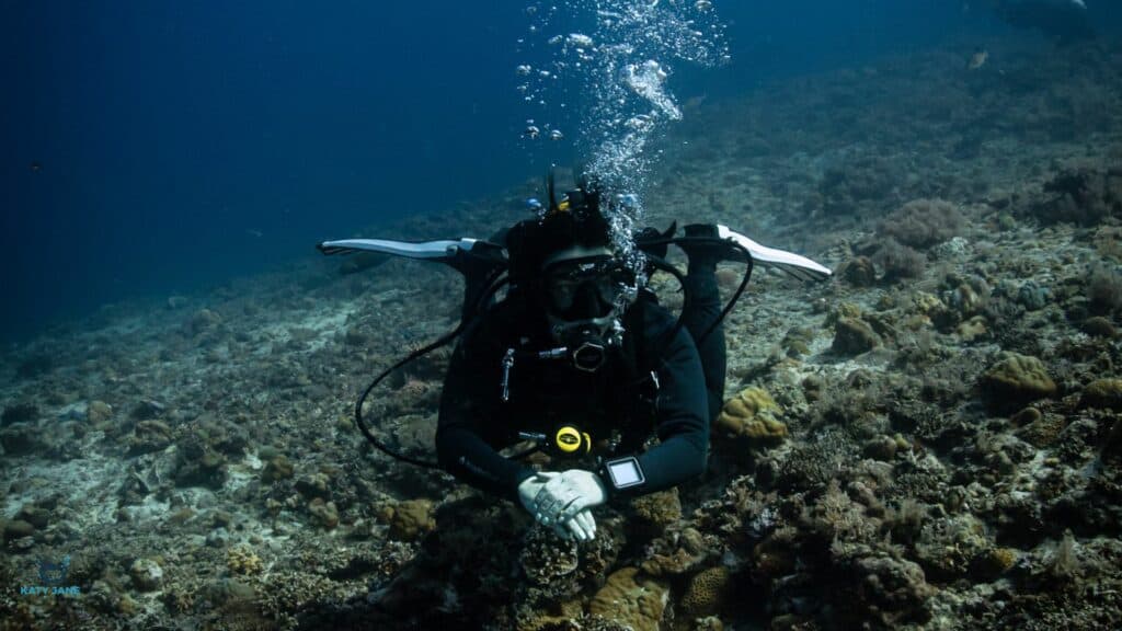 scuba diver underwater with white fins and black mask